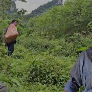 Песня Туро Ер 9