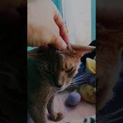 Ты Знаешь Вовка Как Мне Было Плохо