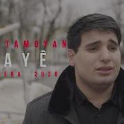 Zade Tamoyan 2020