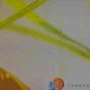 Фрагмент Заставки Канала Лад 2004