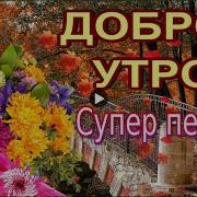 Доброе Утро Супер Песня