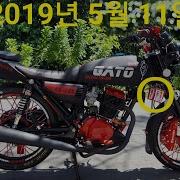 Gato 2019 Full 200Cc