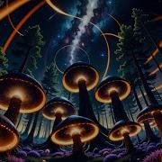 Nexxus 604 Dark Forest Psychedelic Trance Mix 2023 4K Animated Graphic Visuals