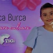 Reluca Burca Tigi Academy