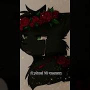 Пов Вы Та Самая Троица
