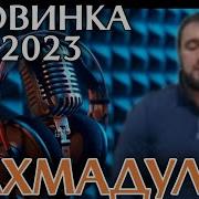 Мавлиды На Аварском 2023