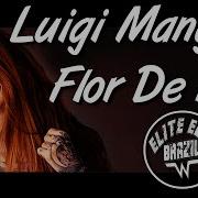 Flor De Lilla Luigi Mangini