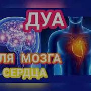 Дуа Для Мозга И Сердца