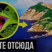 Дедуля Фламинко На Бис