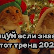 Танцуй Татарин 2023 Года