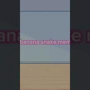 Banana Snake Meme