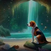 Lofi Beagles K Beagles