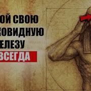 Пробуждение Системы