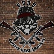 Guru Gatos Descarados