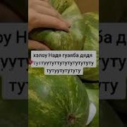 Хеллоу Надя Гуаяба Дядя