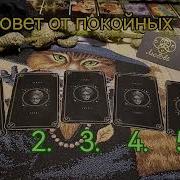 Я Плохой Парень