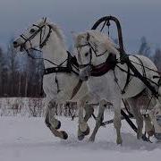 По Дороге На Село Хит Чеченская Песня