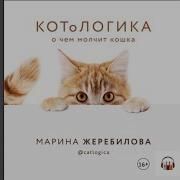 Марина Жеребилова Котологика