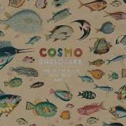 Cosmo Sheldrake Wriggle Instrumental