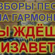 Разборы Как Играть На Гармони И Петь Песню Ты Ждешь Лизавета