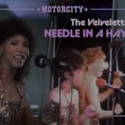 Needle In A Haystack