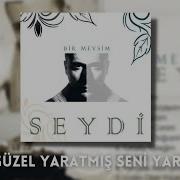 Seydi Her Güzelin Kahrı Çekilmezmiş