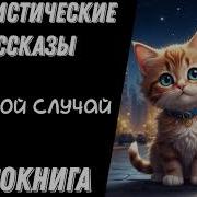 Юмористическое Фэнтези Смешной Случай