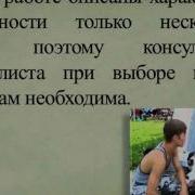 Дрессировка Для Начинающих