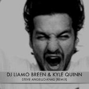 Steve Angello Knas Skiavo Vindes Remix