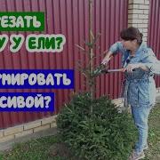 Резать Резать Резать Песня
