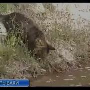 Ходят Бродят Вдоль Реки Мужики Рыбаки