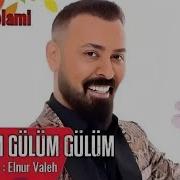 Gülüm Gülüm
