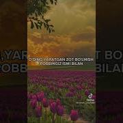 Quroni Karimda Birinchi Nozil Bo Lgan Sura