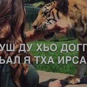 Ирсана Дала Декъал Йойла