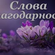 Благодарность За Помощь