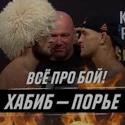 Ufc 242 Хабиб Порье Следующий Бой В Юфс 2019