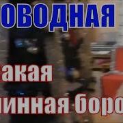 Хороводная Ах Какая Длинная Борода Новогодний Праздник В Детском Саду