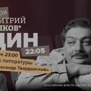 Один Дмитрий Быков 2023