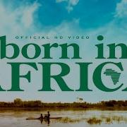 Born In Africa Dr Alban