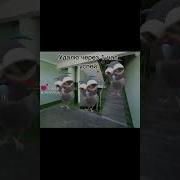 Все Спят А Мы Не Спим