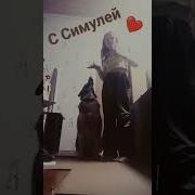 Симулей Песня