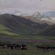 Kyrgyz Melody Материнское Поле