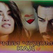 Дунёи Реп Гариби Чудомон Кард