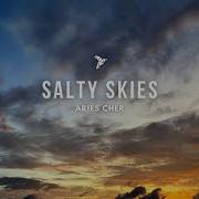 Aries Cher Salty Skies Original Mix