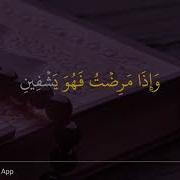 Коран Шуара 80 Аят