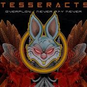 Tesseracts Never Say Never