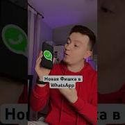 Башкирские Голослвые Ватсапа