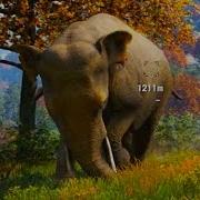 Far Cry 4 Trolling One Angry Elephant