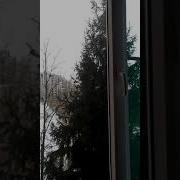 Звуки Учебной Тревоги В Случае Чп