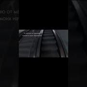 Meme Ландыши